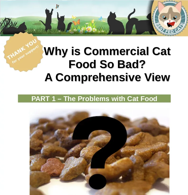 Why is Commercial Cat Food so Bad Part 1 The Problems with Cat Food