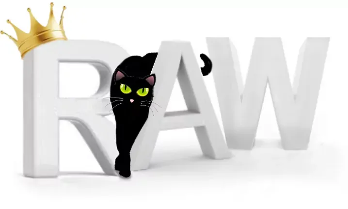 Best Fed Cats - drawn image of the word 'raw' with a crown on it and a cat slinking between the letters