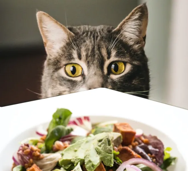 Best Fed Cats - image of cat peeking over table's edge at an avocado salad 