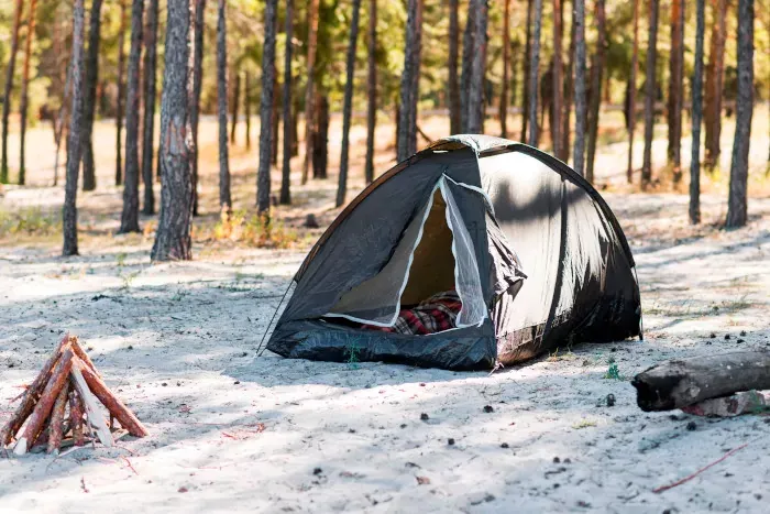 Best Fed Cats - image of tent set up among trees with firewood 