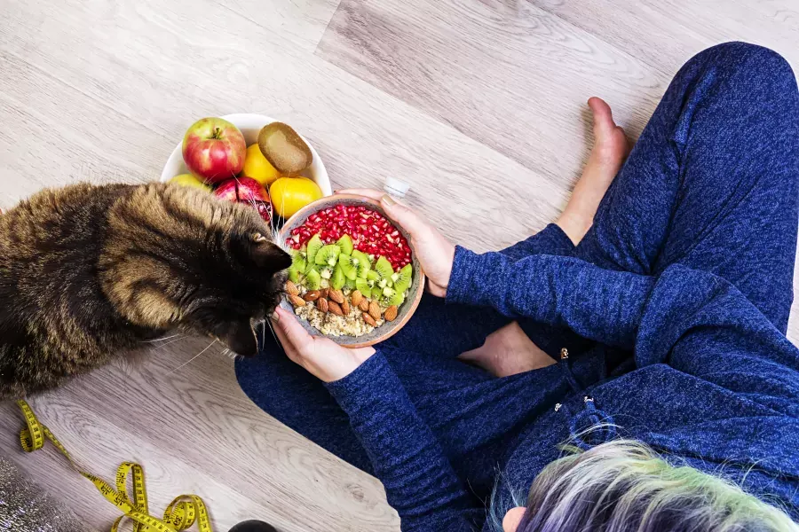 Best Fed Cats - image of cat looking at a bowl of fruity muesli in women's hand 