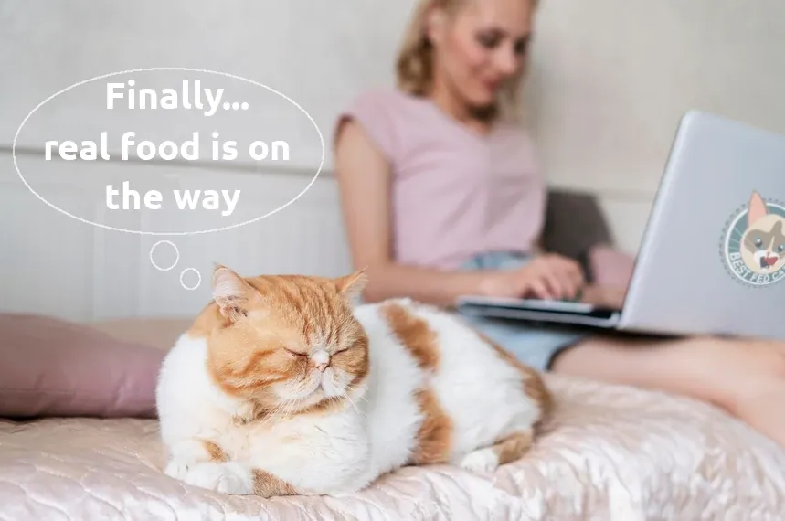 Best Fed Cats - image of woman with laptop with a Best Fed Cats sticker on it and a cat thinking "Finally, real food is on the way"