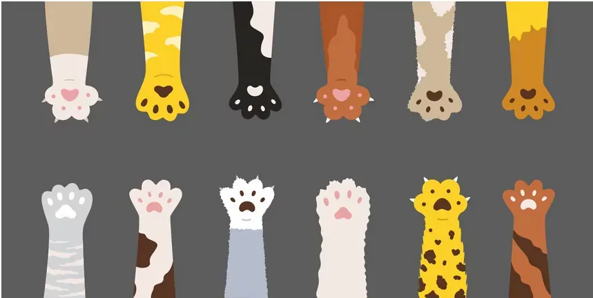 Best Fed Cats - paws of thanks: illustration of 12 different cats paws