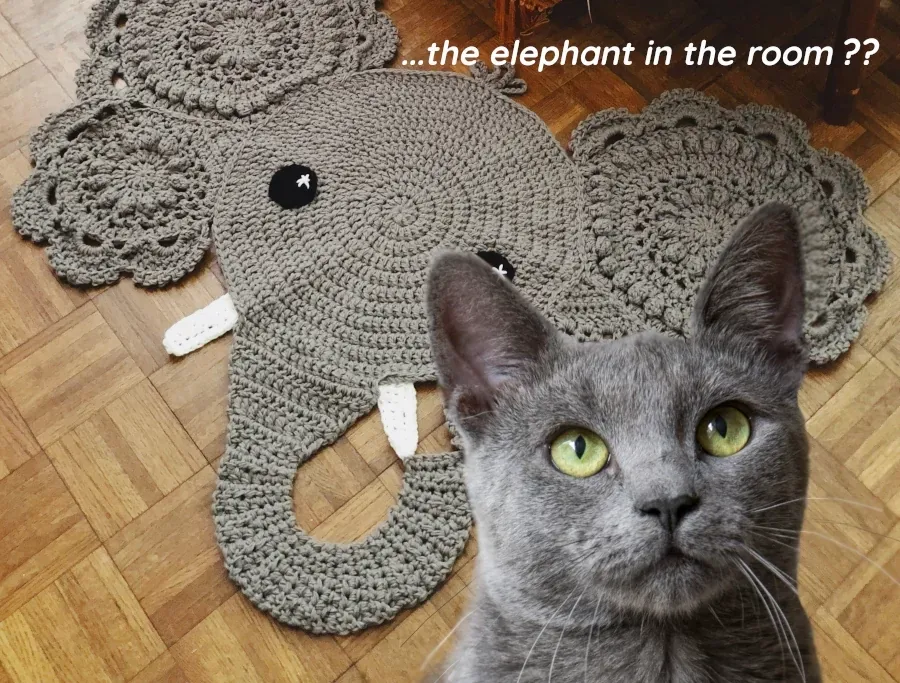 Best Fed Cats - image of Russian blue cat with crocheted elephant with the word "...elephant in the room" printed on it