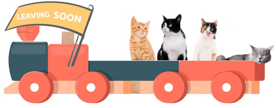 Best Fed Cats -  Best Fed Cats - image of wooden toy train with 4 cats waiting for more cats to board for the journey