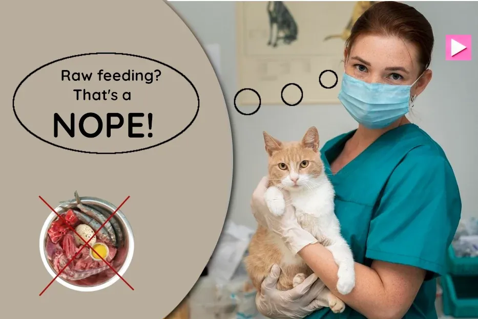 Why Are Most Vets Against Raw Feeding? (And What To Do)