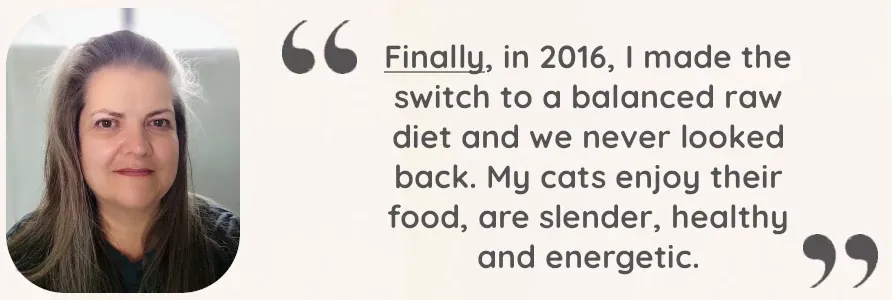 Best Fed Cats - Finally, in 2016, I made the switch to a balanced raw diet and we never looked back. My cats enjoy their food, are slender, healthy and energetic.