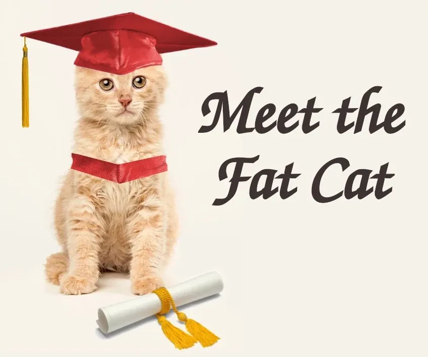 Best Fed Cats - Image of a cat in a graduation hat and sash with a graduation scroll by its feet