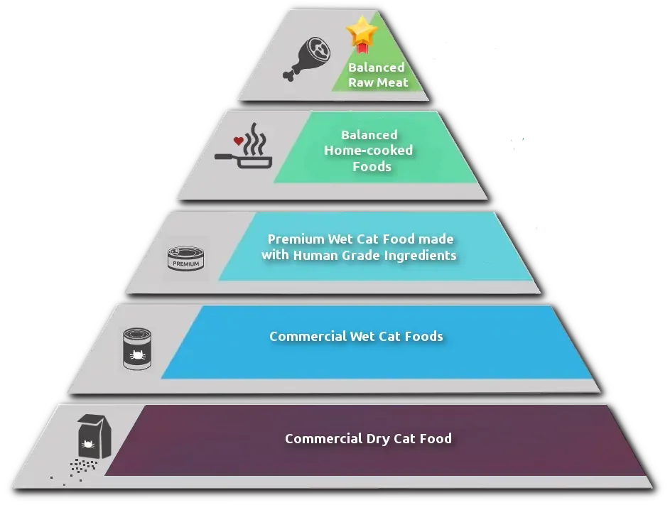 Best Fed Cats - The Cat Food Pyramid depicting the worst (bottom) to the best (top) cat food options