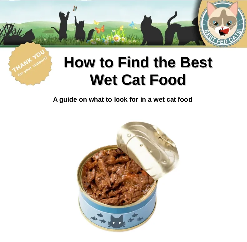 Best Fed Cats - Image of open can of cat food for resource named "How to Find the Best Wet Cat Food"