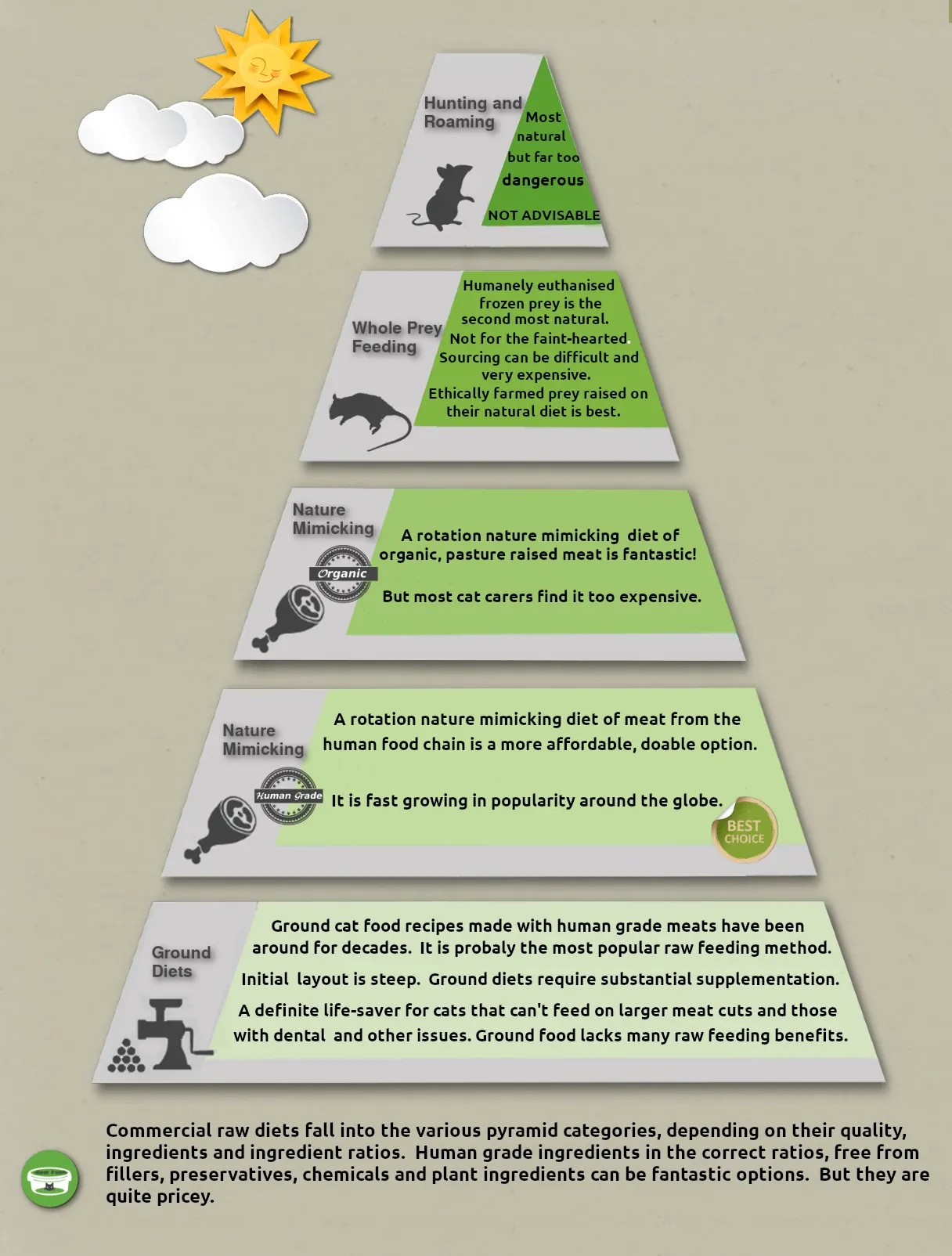 The RAW Cat Food Pyramid