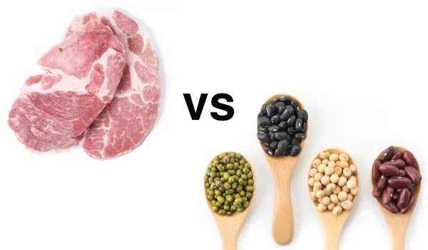 Best Fed Cats - image of raw meat versus dry legumes