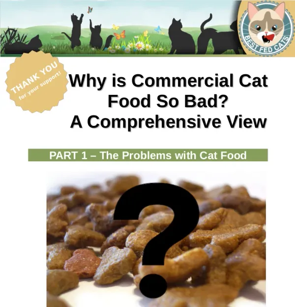 Why is Commercial Cat Food so Bad? Part 1 - The Problems with Cat Food