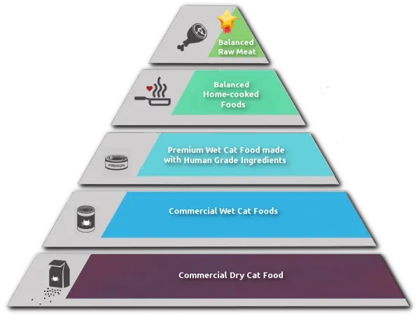 Best Fed Cats - The Cat Food Pyramid depicting the worst (bottom) to the best (top) cat food options