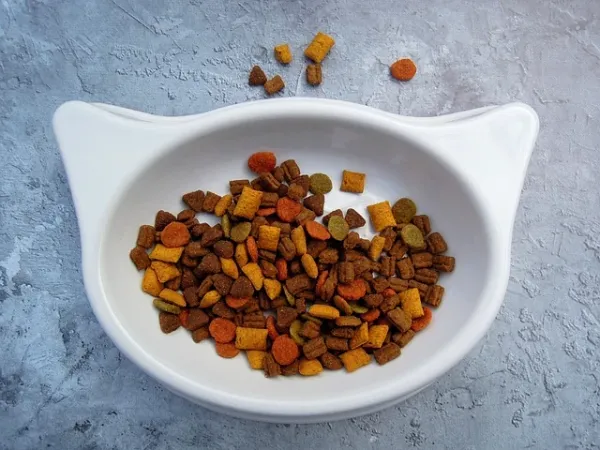 Best Fed Cats - image of cat shaped bowl of kibble