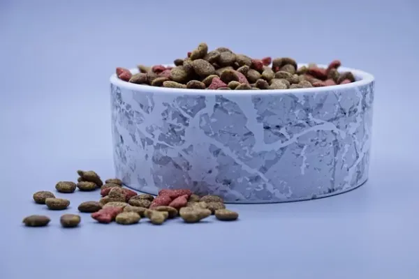 Best Fed Cats - image of a bowl of dry cat food
