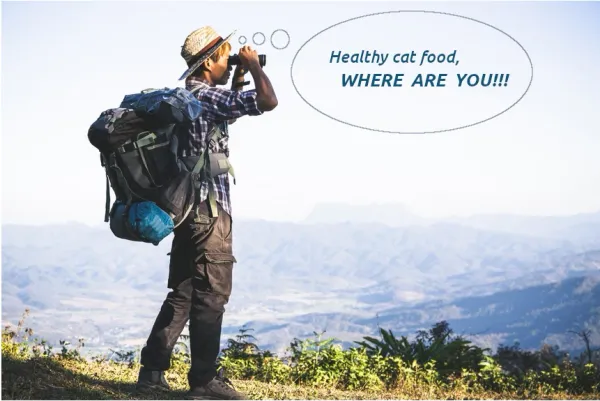 Best Fed Cats - image of hiker with binoculours on a mountain scouring the landscape for healthy cat food 
