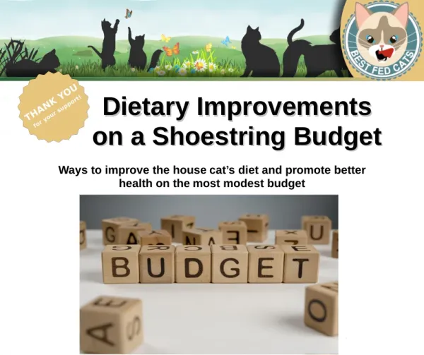 Best Fed Cats - image of wooden blocks spelling the word budget for resource "Dietary Improvements on a Shoestring Budget"