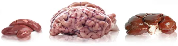 Best Fed Cats - image of raw lamb kidney, brain and beef kidney 