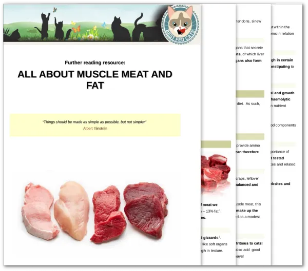 Best Fed Cats - Image of a download resource from the course